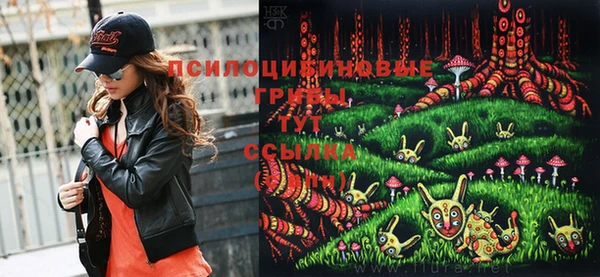 меф Туринск