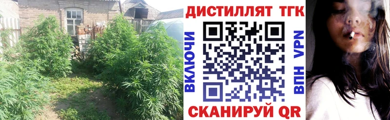 ТГК гашишное масло  Щучье 